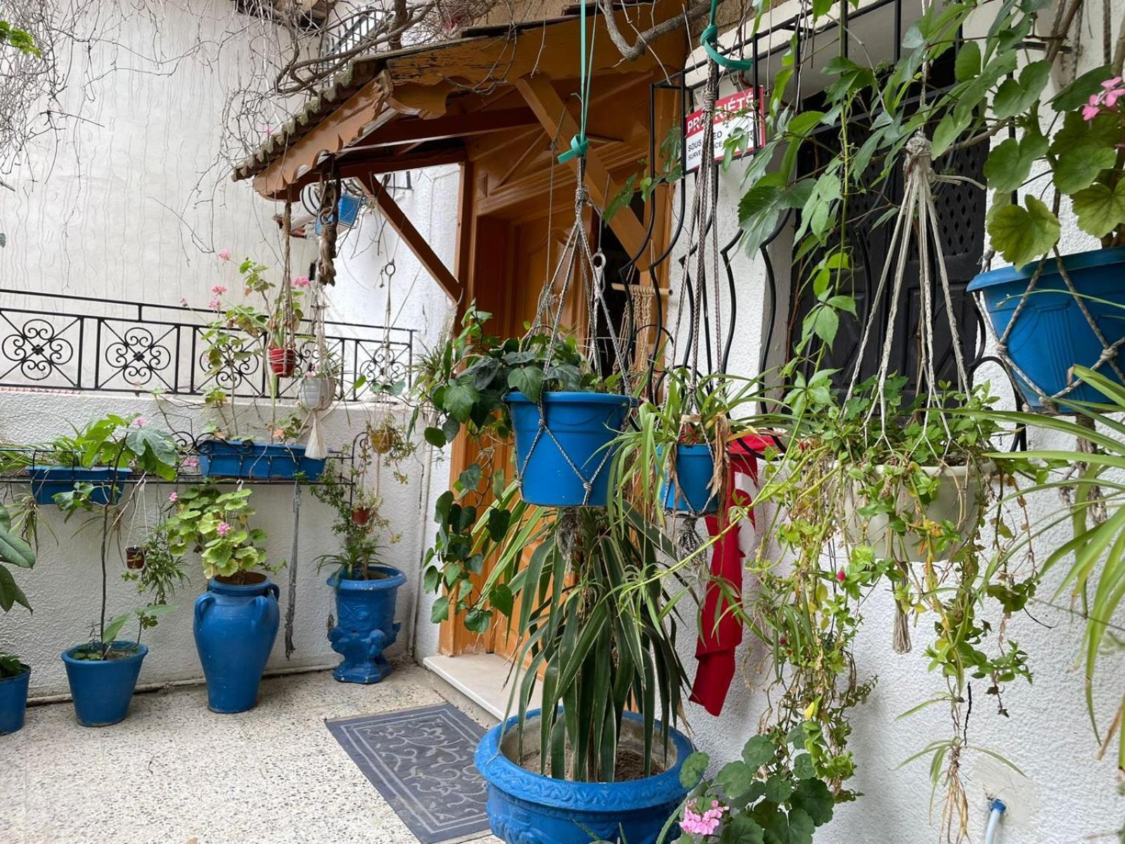 Casa Zitouna - Guest House - Kef, Tunisia Sicca Veneria Exteriér fotografie