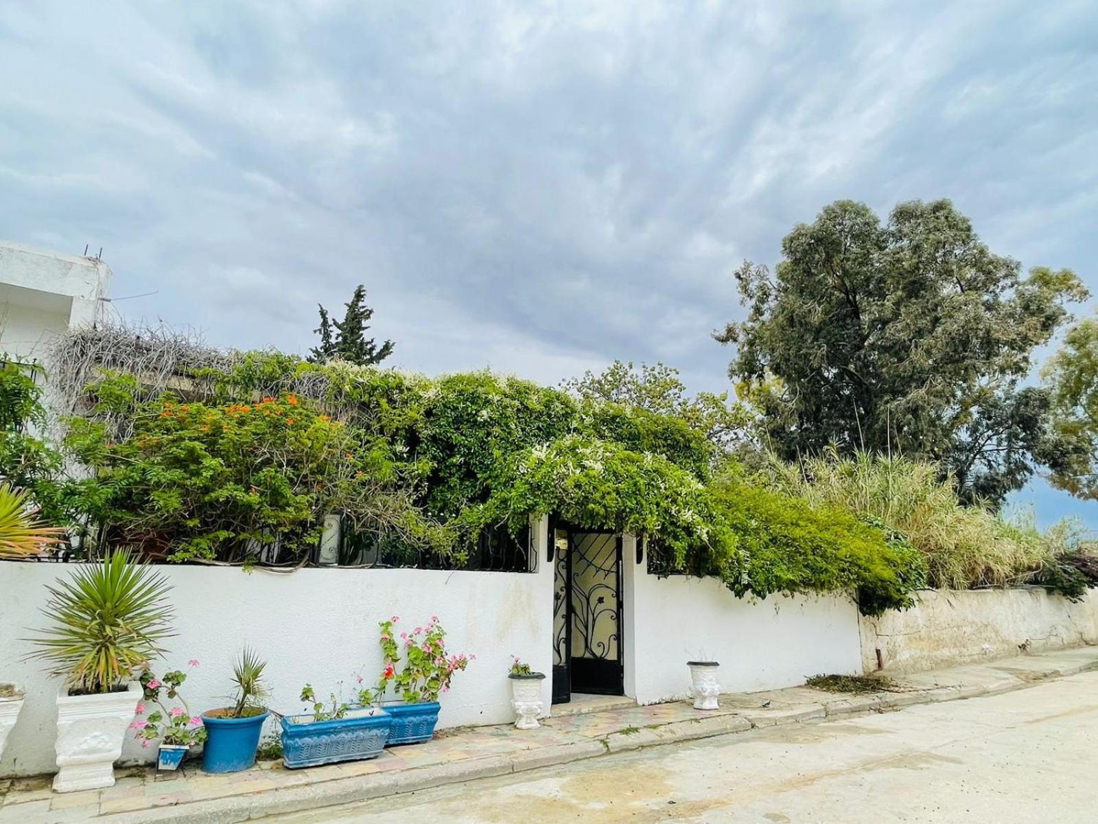 Casa Zitouna - Guest House - Kef, Tunisia Sicca Veneria Exteriér fotografie